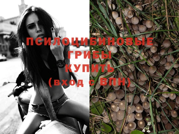 ПСИЛОЦИБИНОВЫЕ ГРИБЫ Лиски