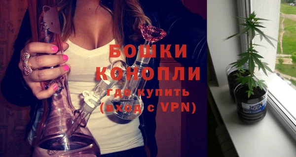 ПСИЛОЦИБИНОВЫЕ ГРИБЫ Лиски