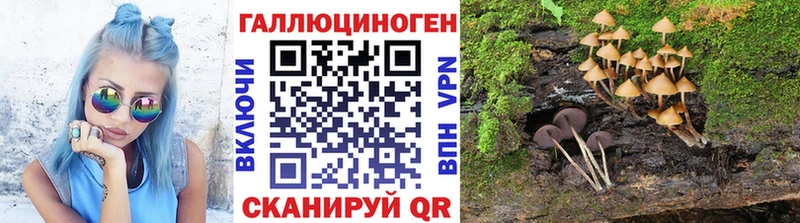Галлюциногенные грибы мухоморы hydra зеркало Серпухов