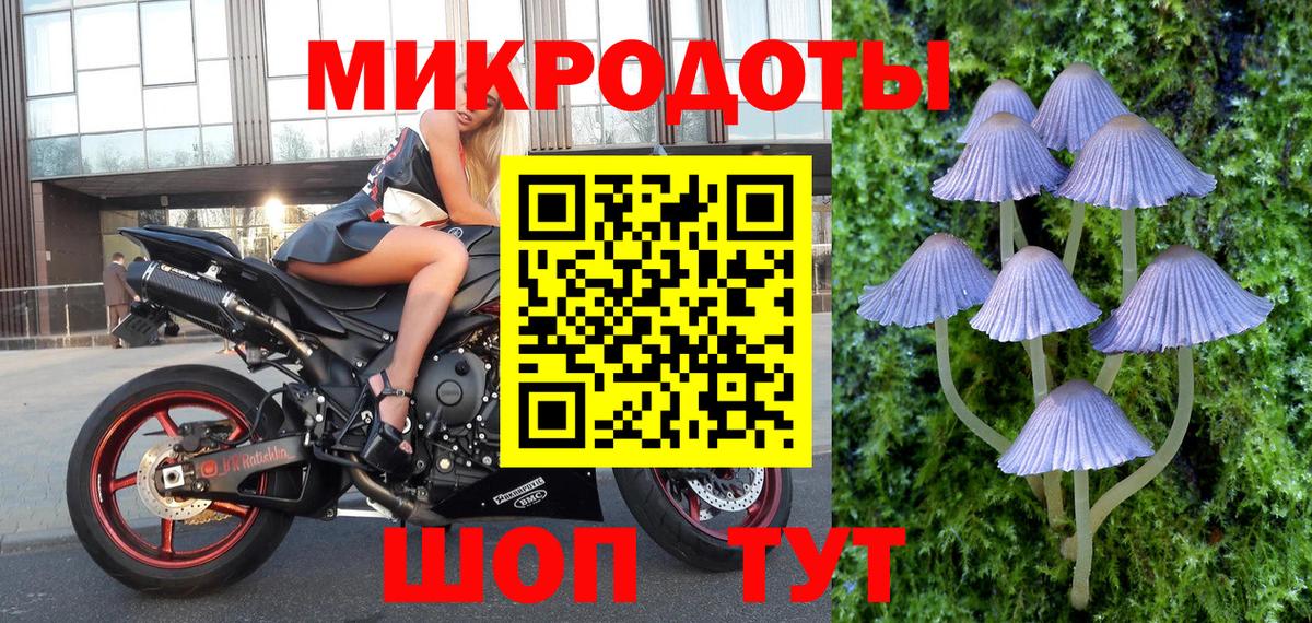 Серпухов  Галлюциногенные грибы мухоморы  Галлюциногенные грибы Psilocybine cubensis  Вход с VPN 